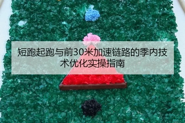 duan-pao-qi-pao-yu-qian-mi-jia-su-lian-lu-de-ji-nei-ji-shu-you-hua-shi-cao-zhi-nan-2-227.jpg
